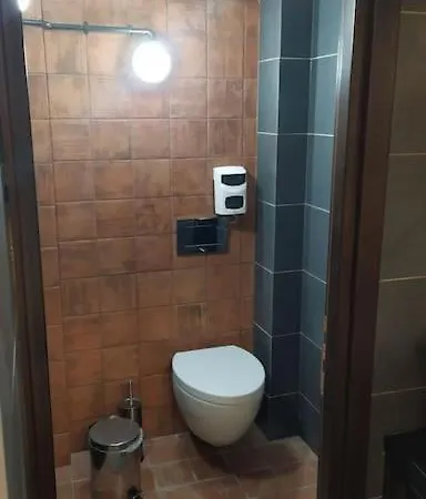 Apartment Karditsa's Loft House *