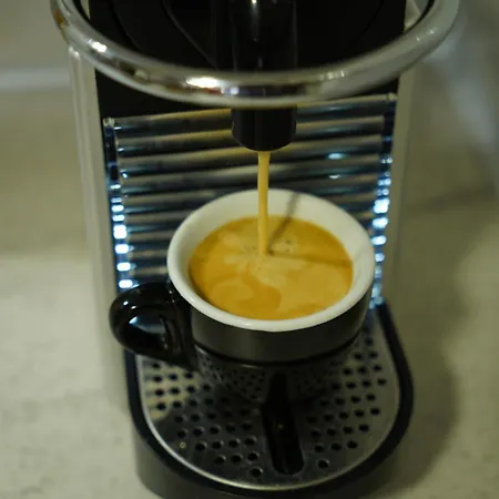 Karditsa's Loft House Daire