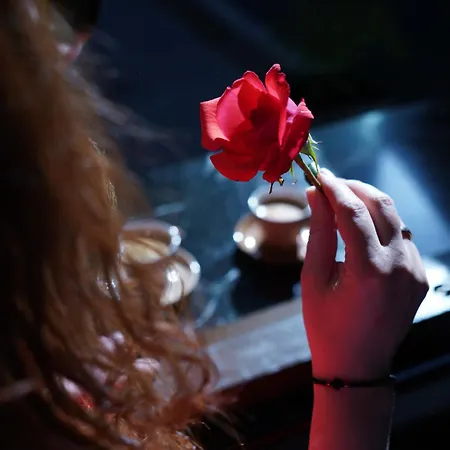 Karditsa's Loft House Apartment *